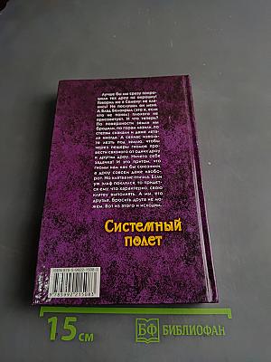Системный полет