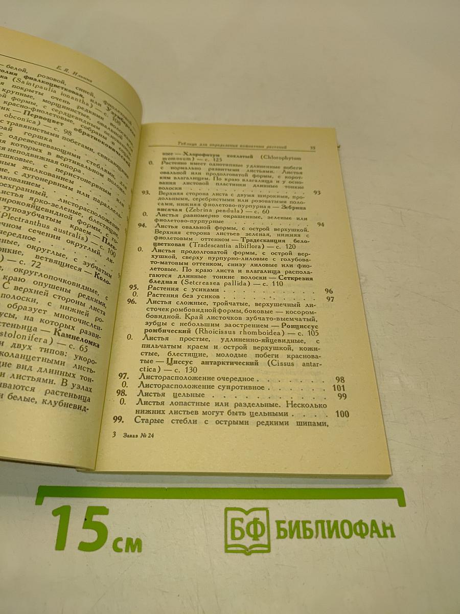 Комнатные растения и их использование в интерьере