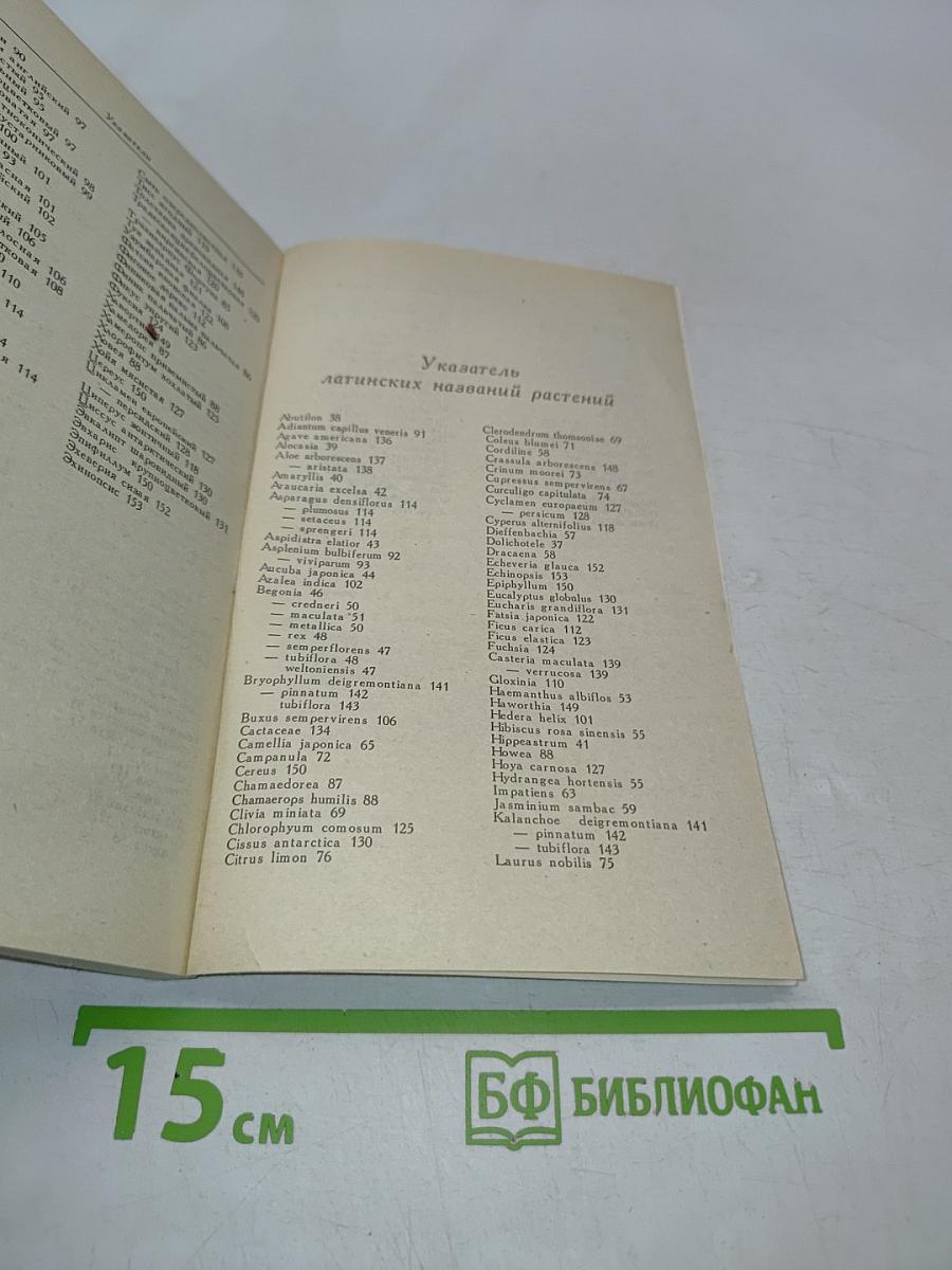 Комнатные растения и их использование в интерьере