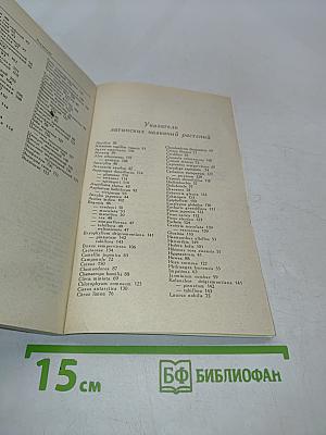 Комнатные растения и их использование в интерьере