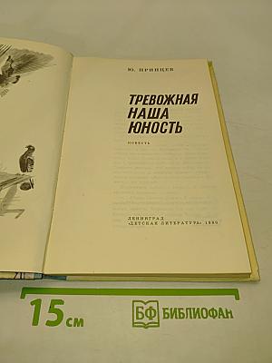 Тревожная наша юность