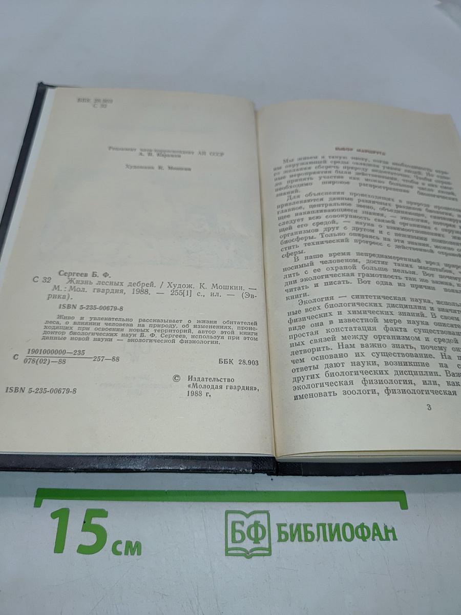 Жизнь лесных дебрей