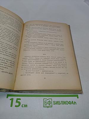 Приключение не удалось. Машка Самбо и заноза