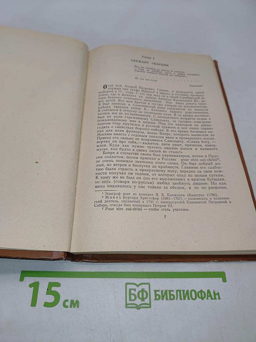 Капитанская дочка. Дубровский