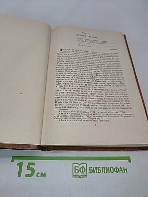 Капитанская дочка. Дубровский