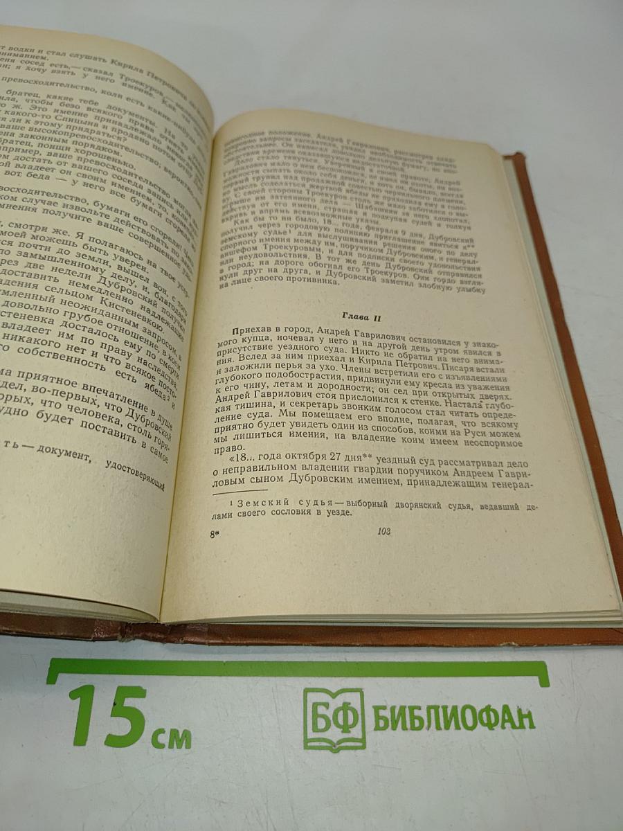 Капитанская дочка. Дубровский