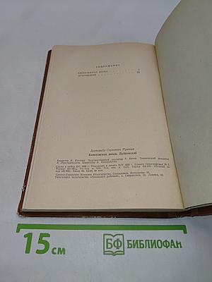 Капитанская дочка. Дубровский