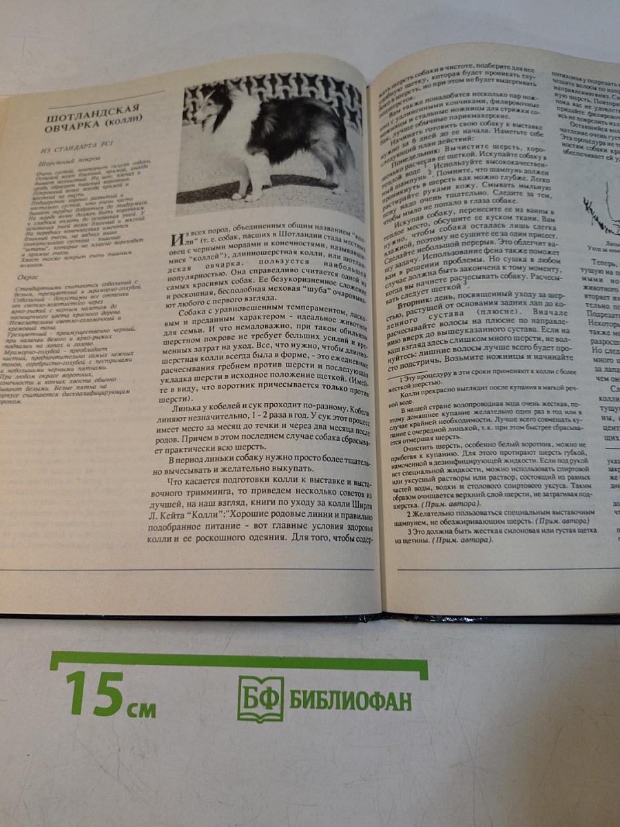 Стрижка собак и уход за их шерстью
