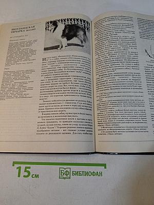 Стрижка собак и уход за их шерстью
