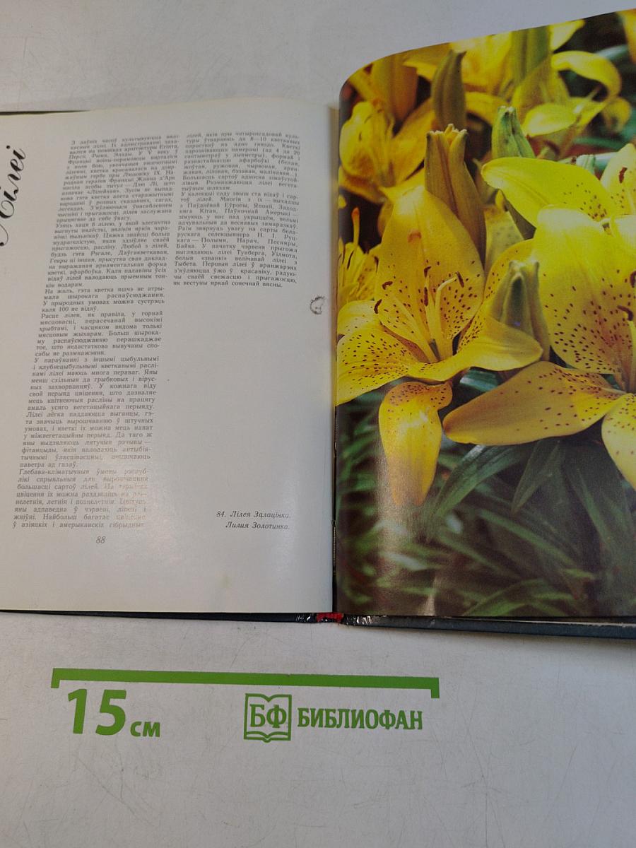 Живые краски ботанического