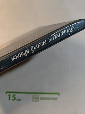 Живые краски ботанического
