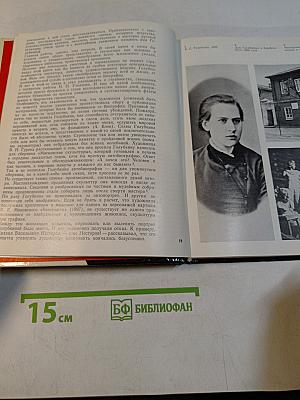 Рыцарский подвиг. Книга о скульпторе Анне Голубкиной