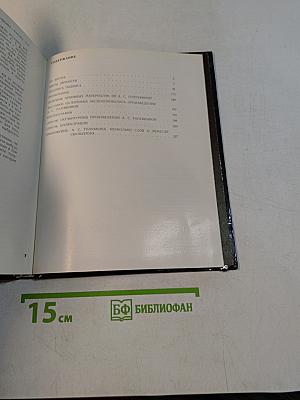 Рыцарский подвиг. Книга о скульпторе Анне Голубкиной
