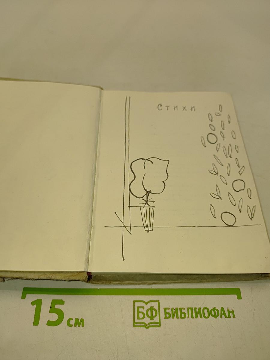 Высокие звезды