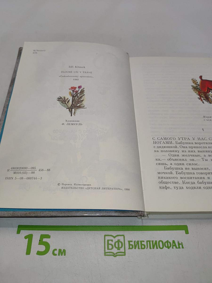 Длинные уши в траве