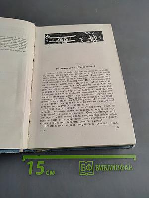 По ту сторону фронта. Книга вторая. Воспоминания партизана
