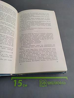 По ту сторону фронта. Книга вторая. Воспоминания партизана