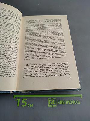 По ту сторону фронта. Книга вторая. Воспоминания партизана
