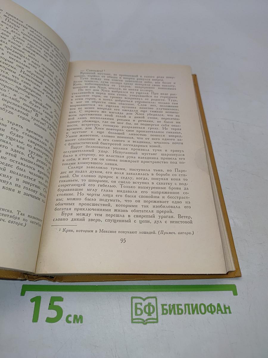 Твердая рука Тамбусино