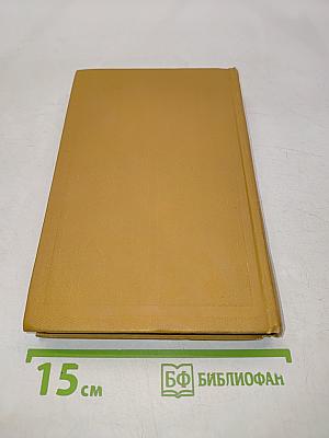 Твердая рука Тамбусино