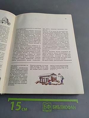 Легенды и быль о продуктах