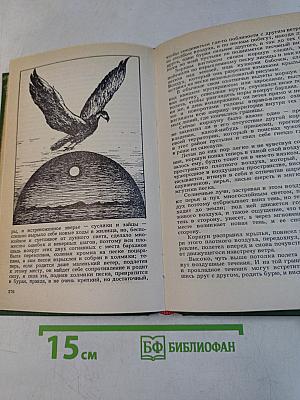 Завсегдатай