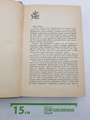 Птицы поют на рассвете