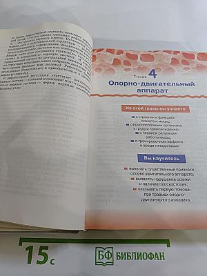 Биология. Человек. 8 класс