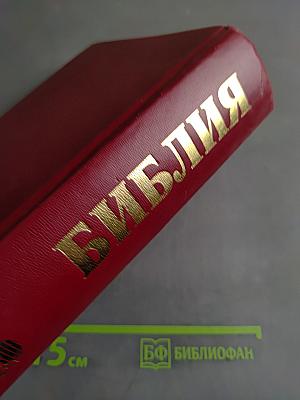 Библия. Современный перевод