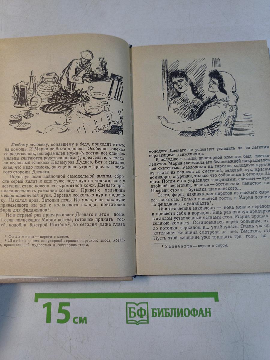 Солнцеворот