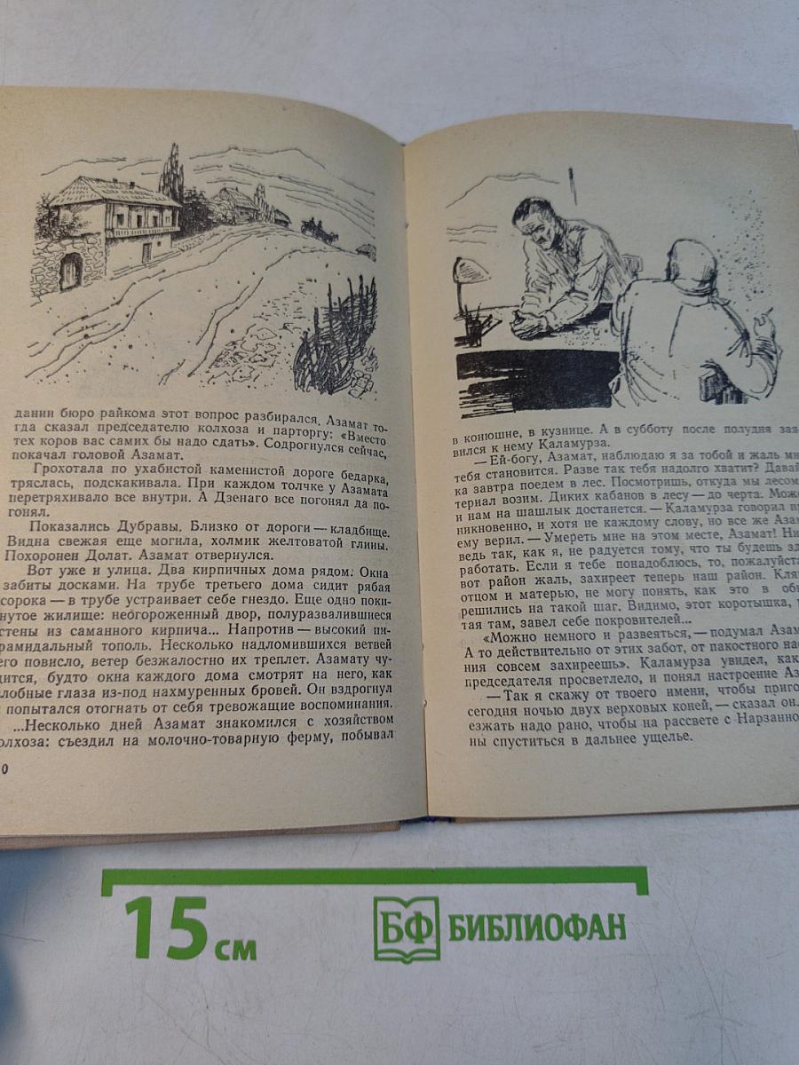 Солнцеворот