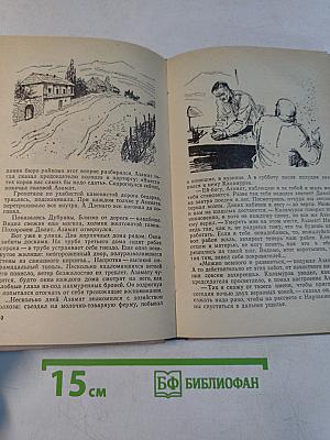 Солнцеворот