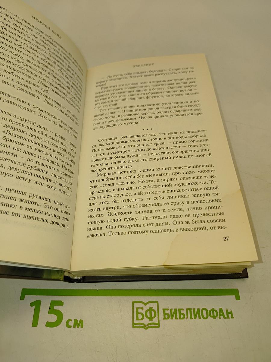 Эвкалипт