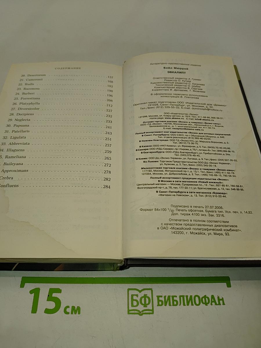 Эвкалипт