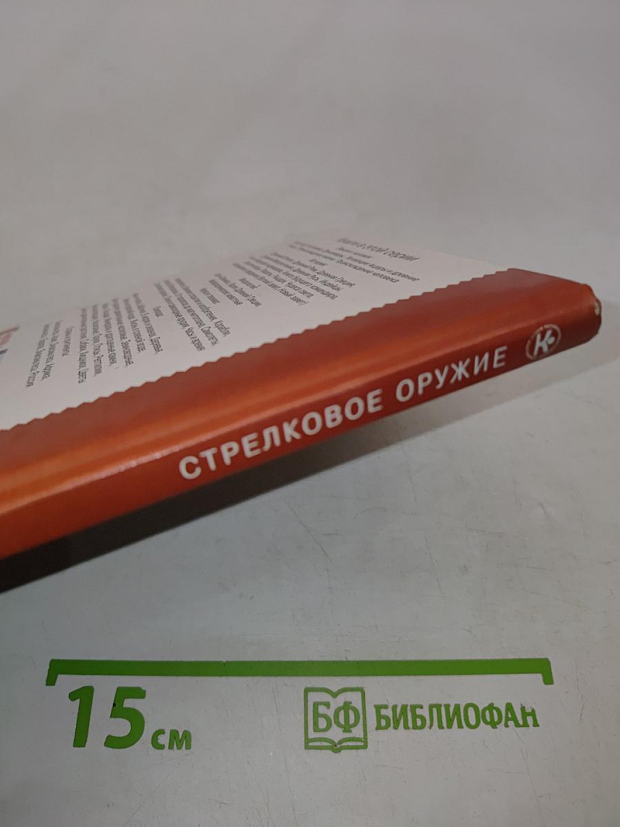 Стрелковое оружие. Школьный путеводитель