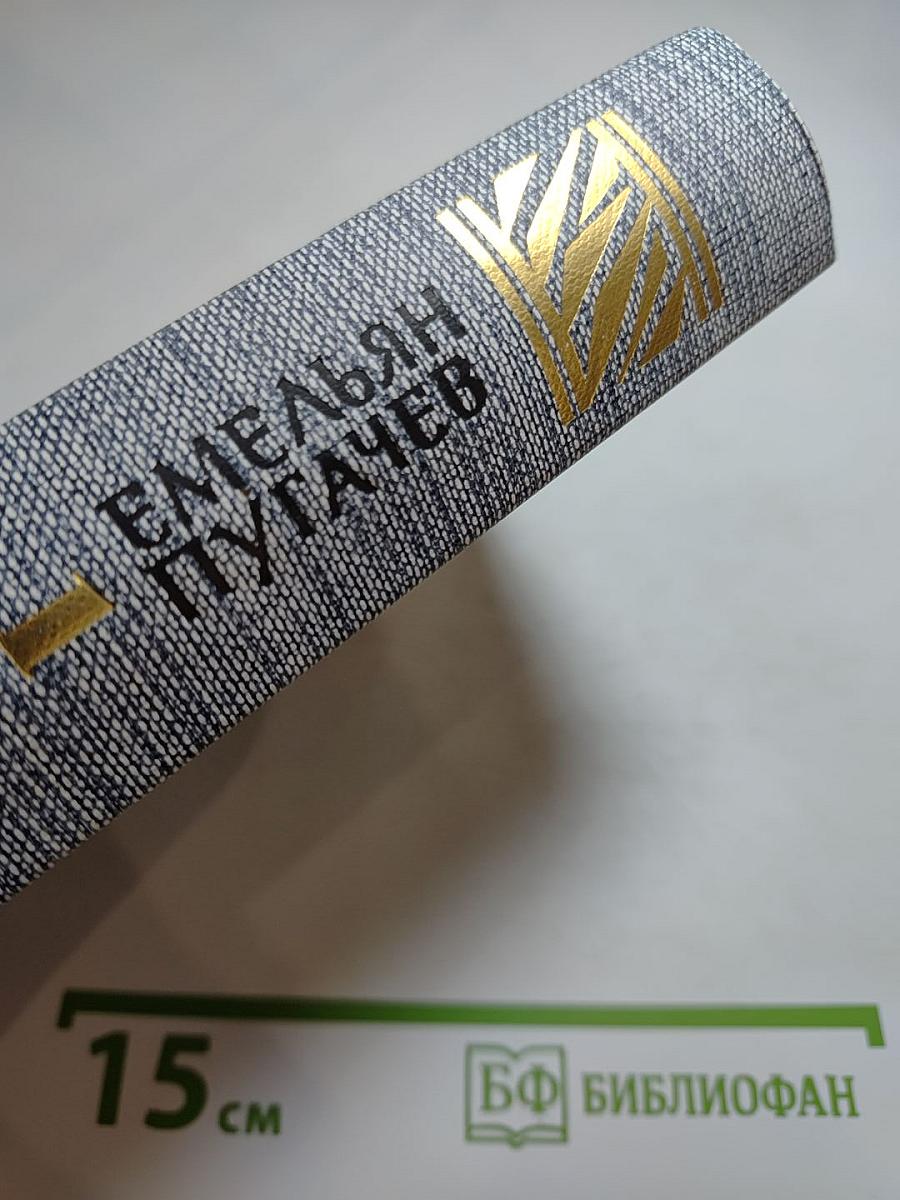 Емельян Пугачев. Историческое повествование. Книга первая