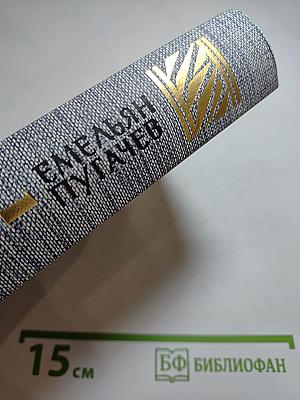 Емельян Пугачев. Историческое повествование. Книга первая