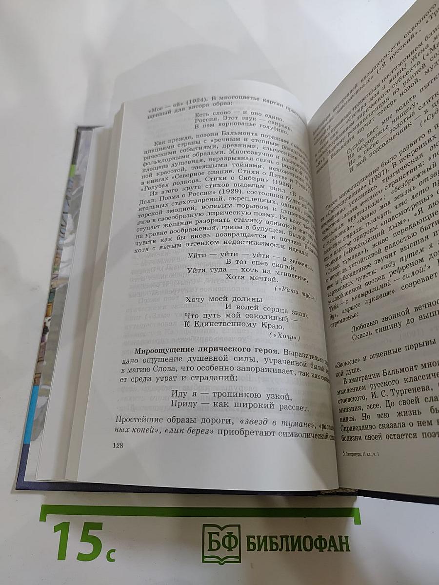 Литература. 11 класс. Часть 1