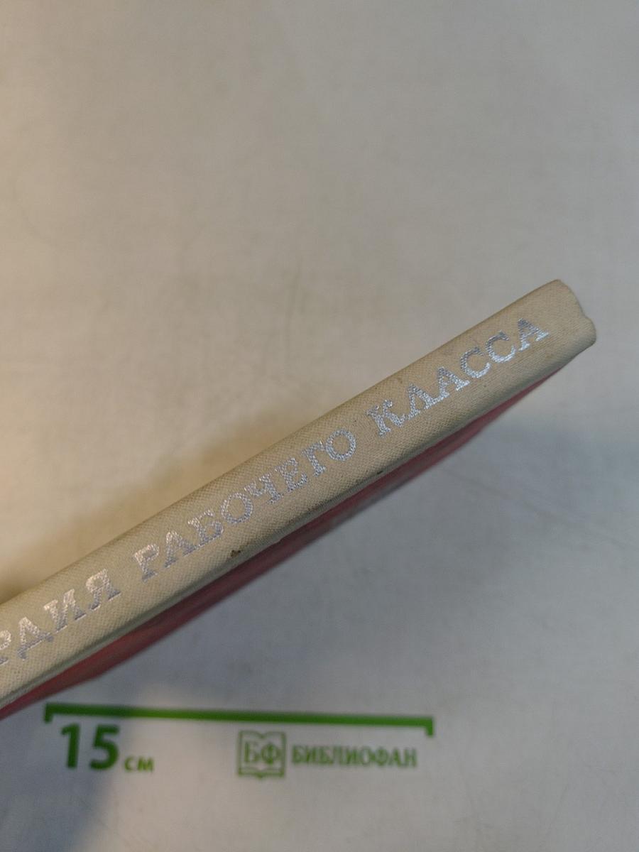 Гвардия рабочего класса