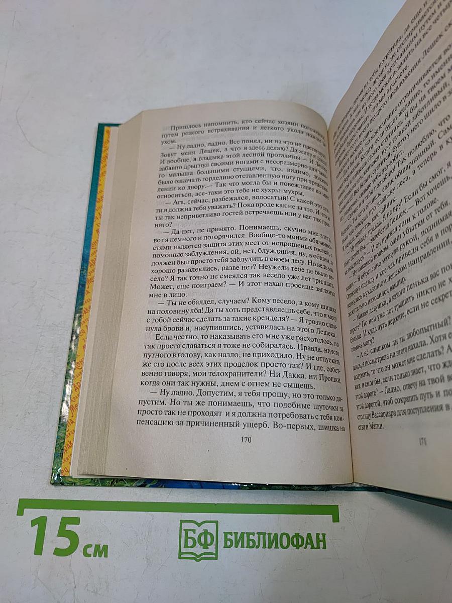 Хранительница. Меч Дракона