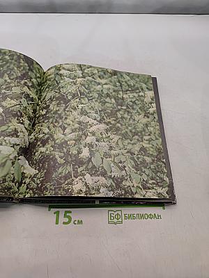 Приокско-террасный заповедник. Фотоальбом
