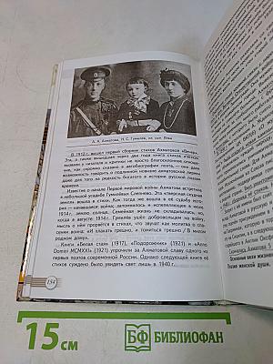 Литература. 11 класс. Учебник для общеобразовательных организаций. В двух частях. Часть 2. Базовый уровень
