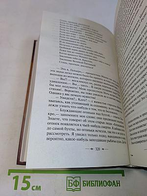 Пират