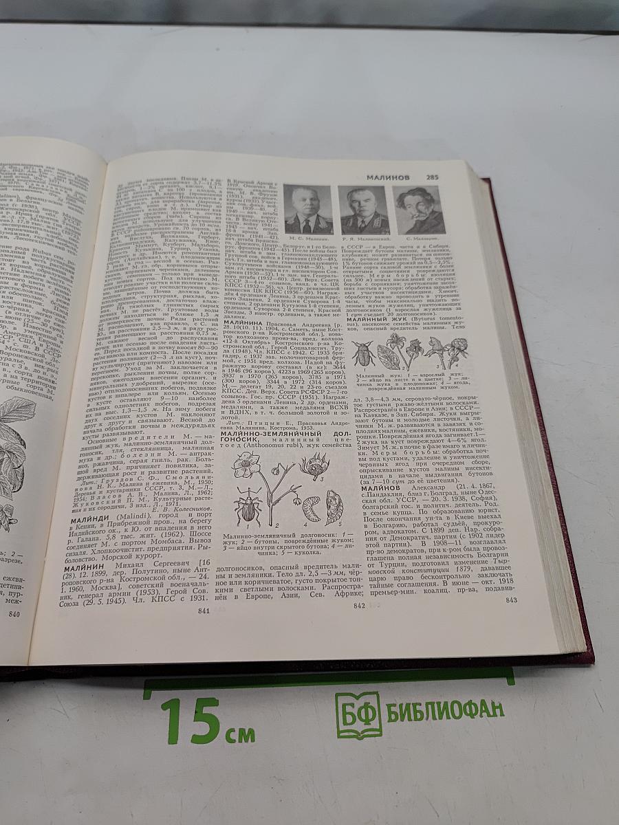 Большая Советская Энциклопедия. Том 15