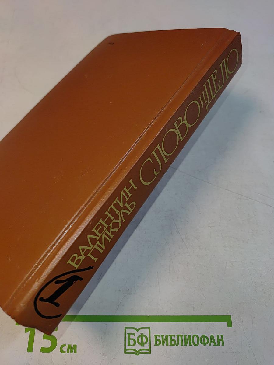 Слово и дело. Роман-хроника времен Анны Иоанновны (в двух книгах). Книга 1. Царица престрашного зраку