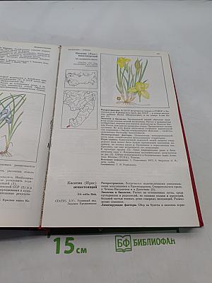 Красная книга РСФСР. Растения