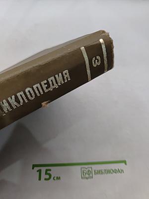 Краткая медицинская энциклопедия. Том 3. Рубец - Ящур