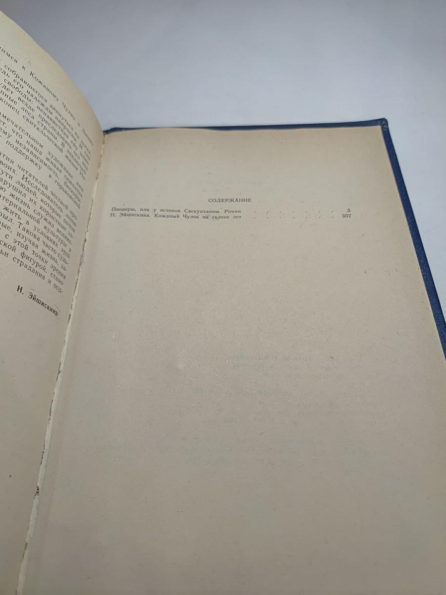 Пионеры, или У истоков Саскуиханны