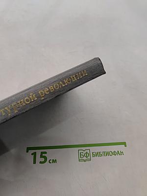 О культурной революции