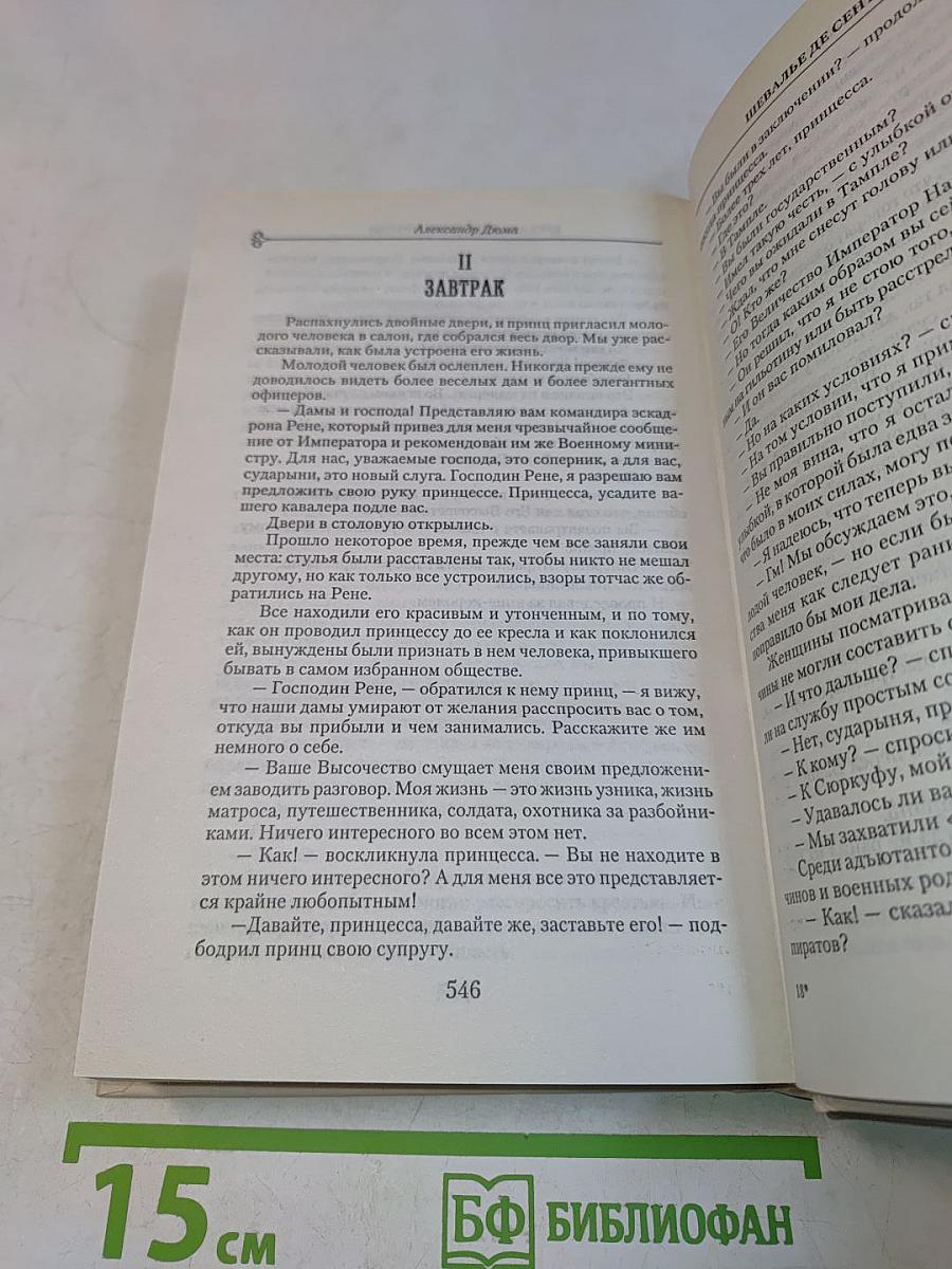 Шевалье де Сент-Эрмин. Том II
